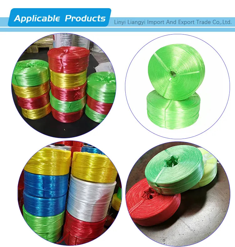 ຂາຍຮ້ອນ extruder ເສັ້ນດ້າຍເຮັດເຊືອກພາດສະຕິກເຄື່ອງຈັກ1 (6)